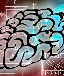 Стоит ли верить тестам IQ