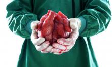 Торговля органами: бизнес на горе Торговля органами: бизнес на горе