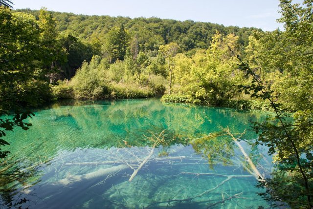 В 1949 году парк Плитвицкие Озера, уникальное по своей красотеместо, стало Национальным Парком Хорватии, а спустя тридцать лет еговключили в реестр всемирного наследия ЮНЕСКО.