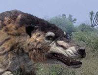 Динозавры погибли зря