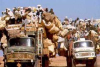 Русских заменят мигранты. Французский опыт ничему не научил