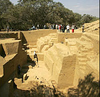 Сидящего покойника сопровождала устрица