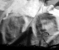 Умерший сын явился матери в образе святого