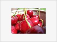 Украинские родители не стесняются в именах для чад