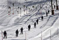 В Турине обретут хозяев ещё четыре комплекта наград