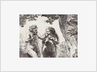 Гравюру Рембрандта «Адам и Ева» похитили неизвестные