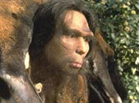 гейдельбергский человек не был самым первым человекообразным