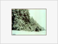 По народному календарю сегодня Макарий, судят о погоде на февраль