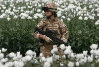 Наркобароны спасли мировую экономику