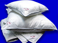 Разбойник «нокаутировал» жертву ударом подушки