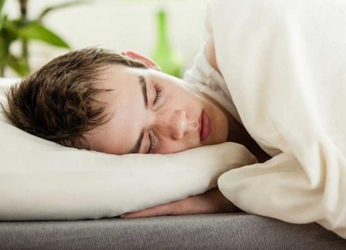 Метаногенная архебактерия Methanococcus voltae Метаногенная архебактерия Methanococcus voltae