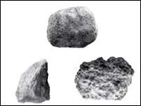 Шимпанзе опровергли теорию Энгельса