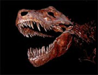 Открывается сезон охоты на динозавров