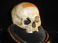 Игры с черепом Моцарта