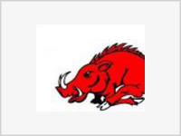 Сегодня по китайскому календарю наступил год Огненного кабана