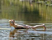 Москвичам объяснили, какие пляжи опасны для здоровья