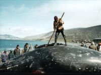 Чукчам разрешили забивать 135 китов в год