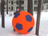 Футбольных звезд России вырастят в пробирке реалити-шоу Футбольных звезд России вырастят в пробирке реалити-шоу