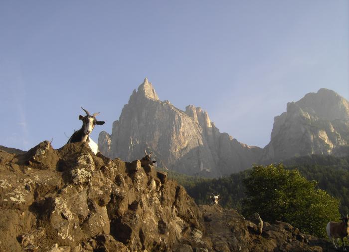 20 лет назад яхта «Паулина» растопила лед в российско-норвежских