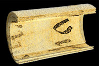 Рентген проникает в тайну Ватикана