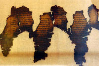 Рентген проникает в тайну Ватикана