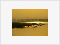 Воды китайской желтой реки побелели