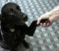 Рога и копыта 