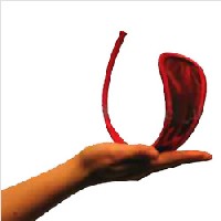 Женские трусики самого невероятного размера Женские трусики самого невероятного размера