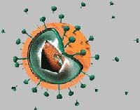 СПИД уничтожат серебром в контейнерах?