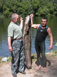 В Москве-реке в День России обнаружили сома-гиганта (фото)