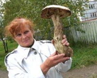 В Северодвинске найден гриб-монстр