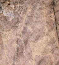 Ученые в смятении: «Байкальскому Стоунхенджу» не менее 4000 лет