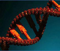 Синдром Дауна можно выявить заранее. Но мужчинам страше 50 от