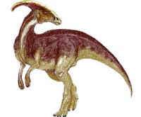 В Канаде найден неизвестный вид травоядного динозавра