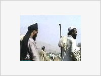 Власти США тайно поддерживают партизан в Иране