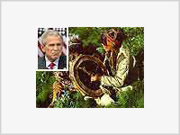 Буш разгневал гватемальских шаманов