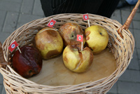 коричневое 