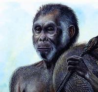 Ученые признали, что хоббиты не были идиотами