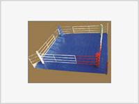 Россию лишили Чемпионата мира по боксу