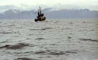 В Каспийском море пропали четверо рыбаков