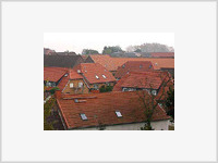 Пожилой немец приклеился к крыше собственного дома
