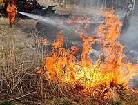 Глобальное потепление уничтожит сибирскую тайгу! Глобальное потепление уничтожит сибирскую тайгу!