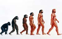 Антропологи: Прежние воззрения на происхождение человека -