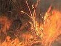 На Дальнем Востоке бушуют лесные пожары