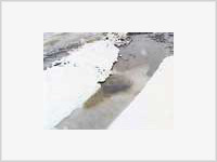 Элитную Барвиху затопило дизельным топливом Элитную Барвиху затопило дизельным топливом