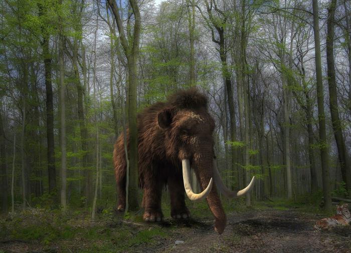 Полпред президента признал хабаровскую воду пригодной для питья Полпред президента признал хабаровскую воду пригодной для питья