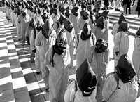 Пытки на страже демократии: методы спецслужб США