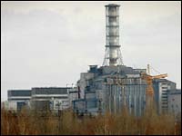 Птицы Чернобыля не хотят гнездиться в участках с высоким