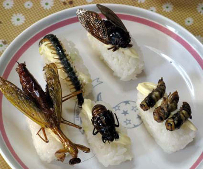 Тараканы в японии