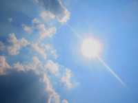 Нынешнее лето побило  жаркий  рекорд тысячелетия